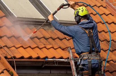 Démoussage et hydrofuge de toiture à Fustérouau